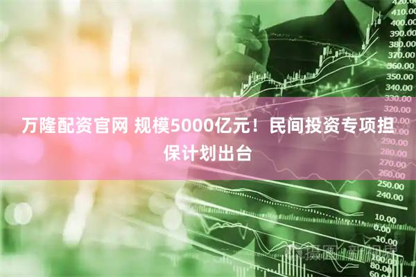 万隆配资官网 规模5000亿元！民间投资专项担保计划出台