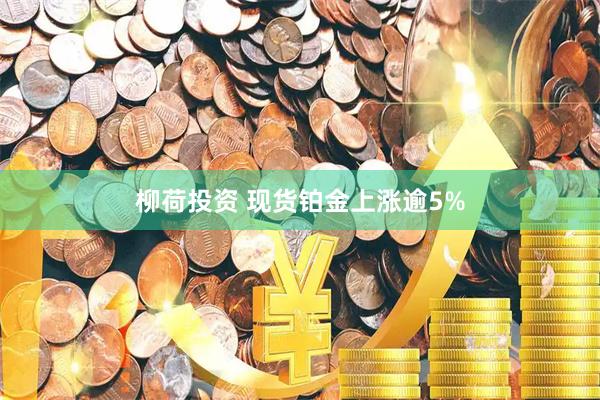 柳荷投资 现货铂金上涨逾5%