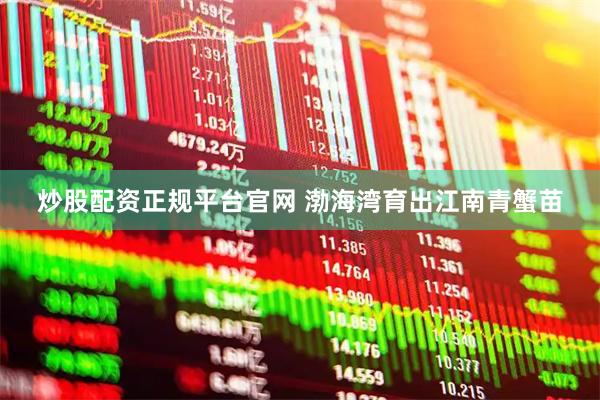 炒股配资正规平台官网 渤海湾育出江南青蟹苗